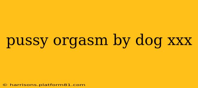 pussy orgasm by dog xxx
