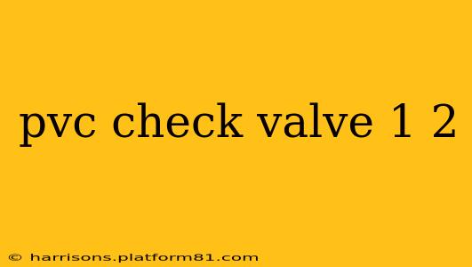 pvc check valve 1 2