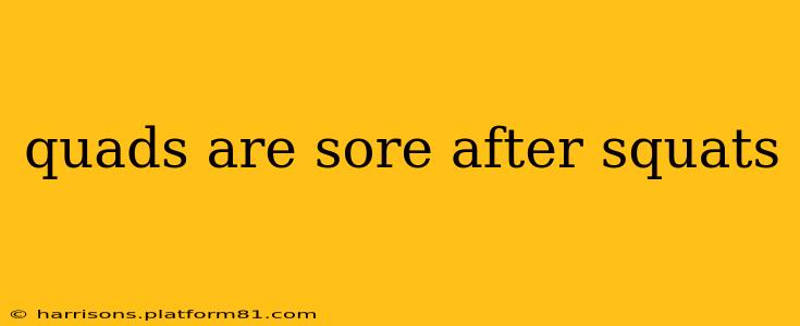 quads are sore after squats