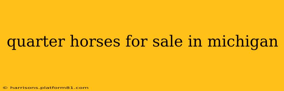 quarter horses for sale in michigan