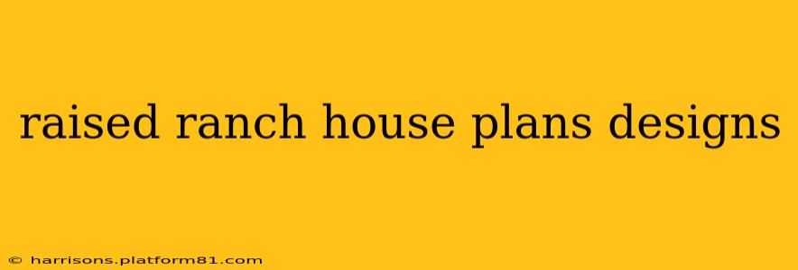 raised ranch house plans designs
