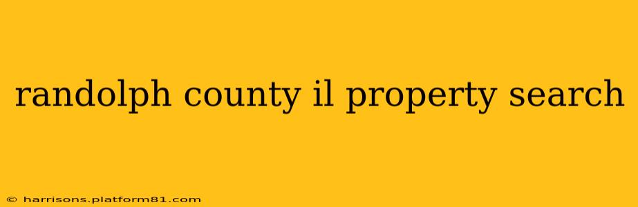 randolph county il property search
