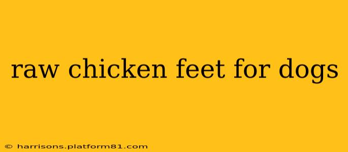 raw chicken feet for dogs