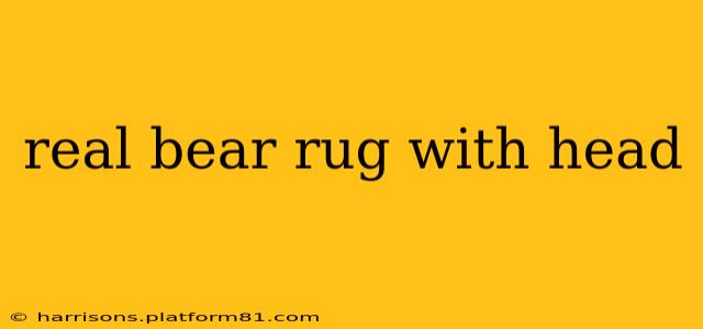 real bear rug with head