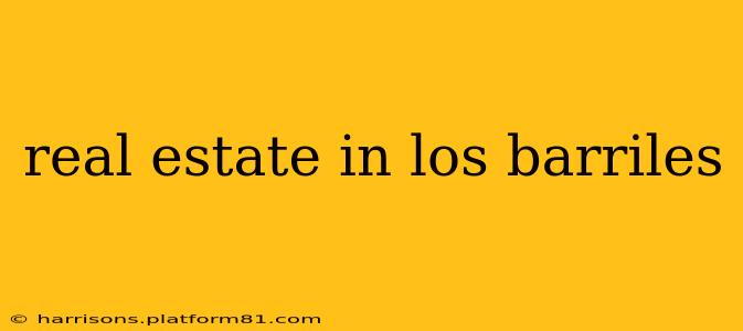 real estate in los barriles