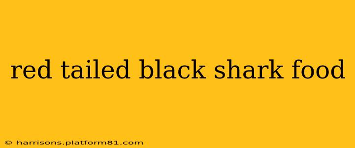 red tailed black shark food