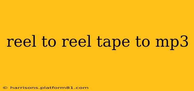 reel to reel tape to mp3