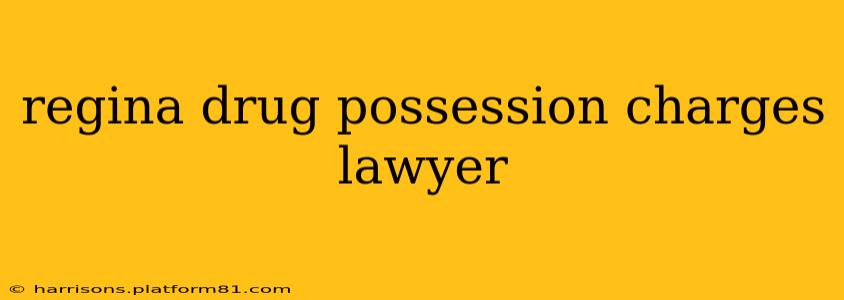 regina drug possession charges lawyer