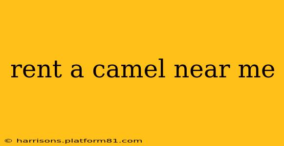 rent a camel near me
