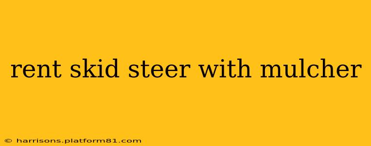 rent skid steer with mulcher
