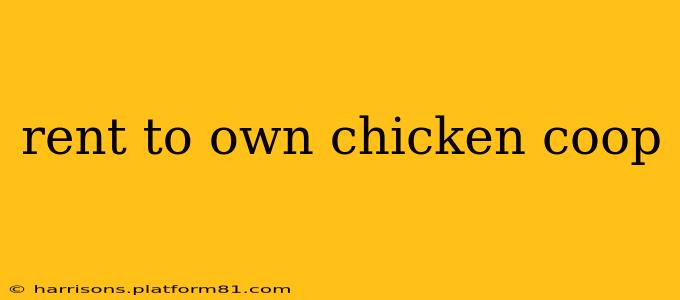 rent to own chicken coop