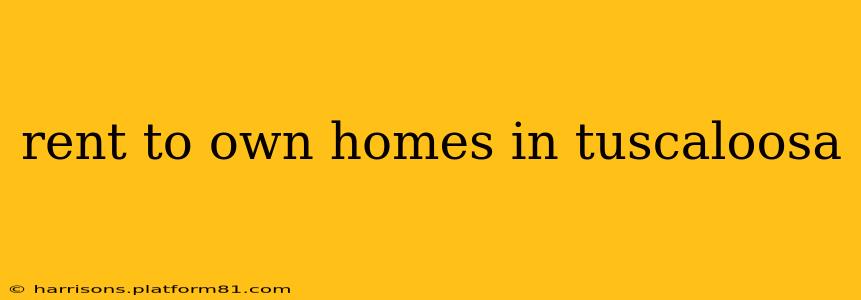 rent to own homes in tuscaloosa
