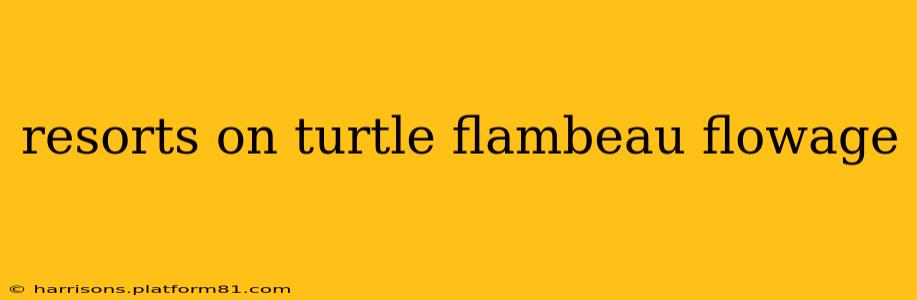 resorts on turtle flambeau flowage