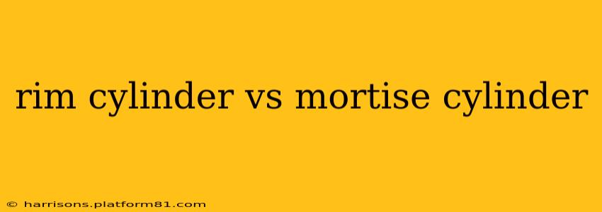 rim cylinder vs mortise cylinder