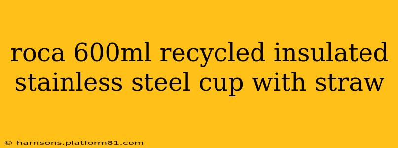 roca 600ml recycled insulated stainless steel cup with straw