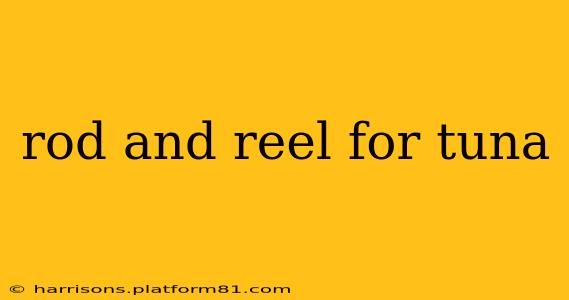 rod and reel for tuna