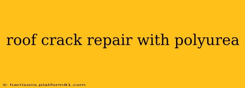 roof crack repair with polyurea