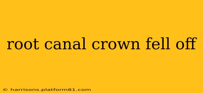 root canal crown fell off