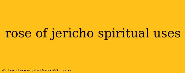 rose of jericho spiritual uses