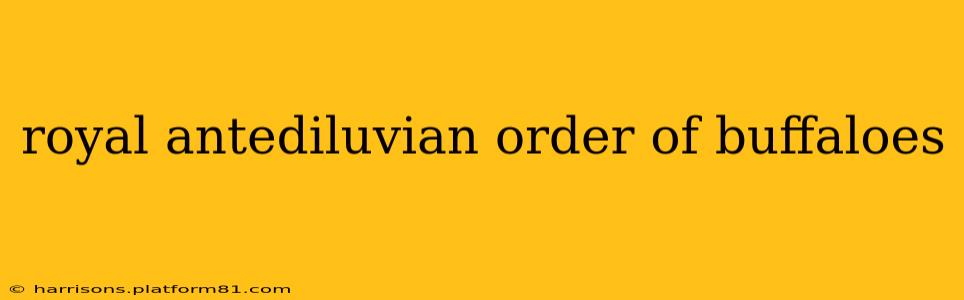 royal antediluvian order of buffaloes