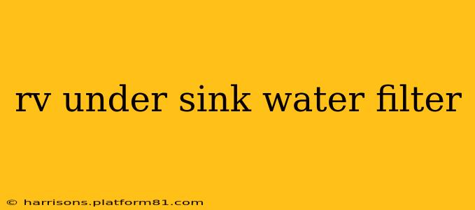 rv under sink water filter