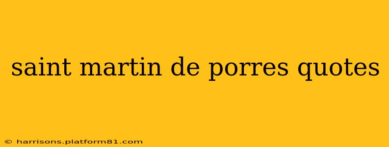 saint martin de porres quotes