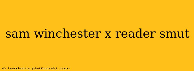 sam winchester x reader smut sam winchester x reader smut