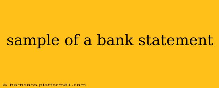 sample of a bank statement