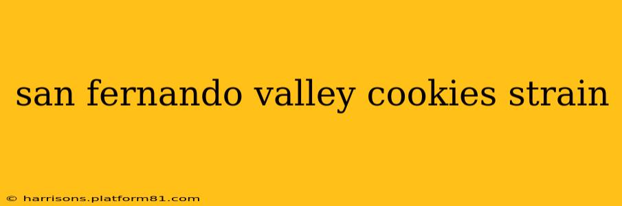 san fernando valley cookies strain