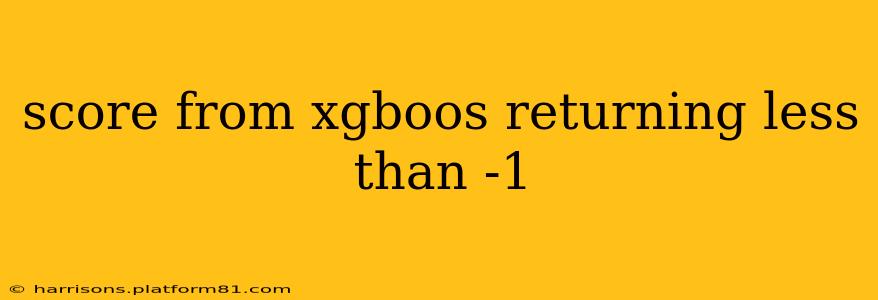 score from xgboos returning less than -1