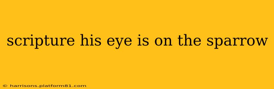 scripture his eye is on the sparrow