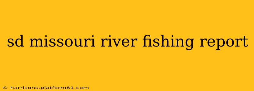 sd missouri river fishing report