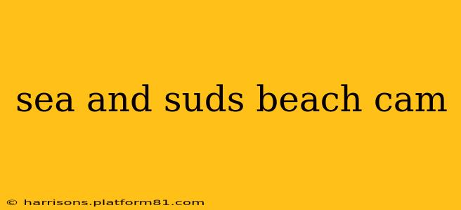 sea and suds beach cam