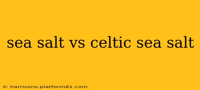 sea salt vs celtic sea salt