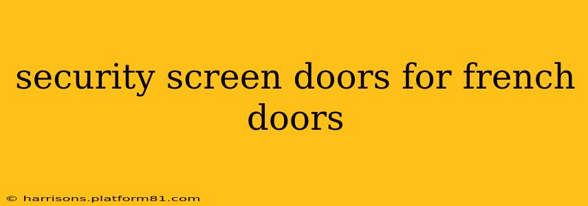 security screen doors for french doors