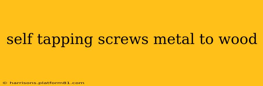 self tapping screws metal to wood