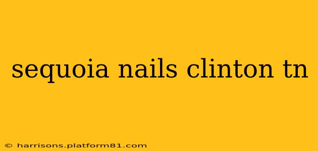sequoia nails clinton tn