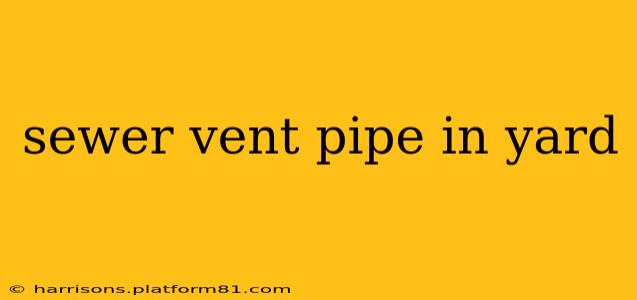 sewer vent pipe in yard