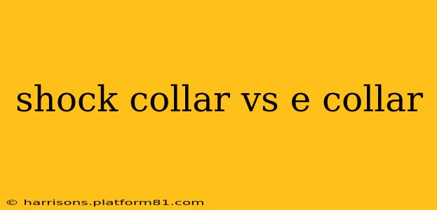 shock collar vs e collar