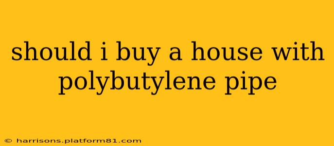 should i buy a house with polybutylene pipe