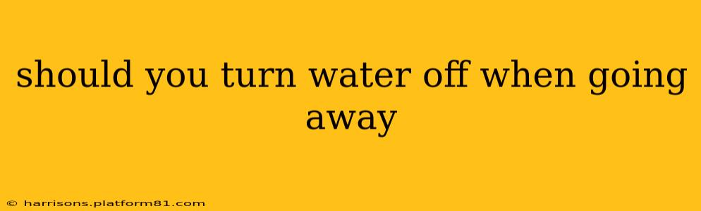 should you turn water off when going away