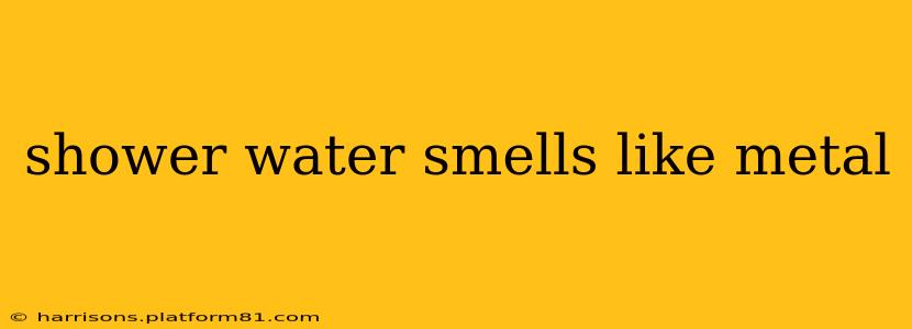 shower water smells like metal