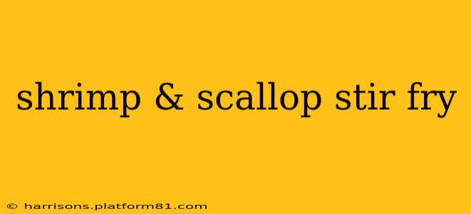 shrimp & scallop stir fry