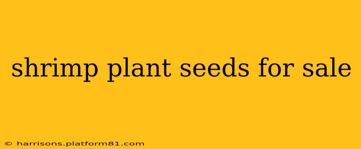 shrimp plant seeds for sale