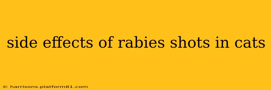 side effects of rabies shots in cats