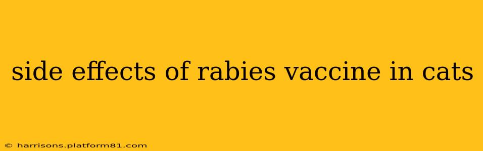 side effects of rabies vaccine in cats
