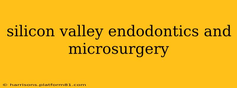 silicon valley endodontics and microsurgery