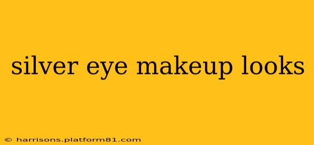 silver eye makeup looks
