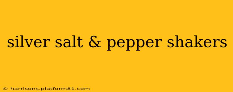 silver salt & pepper shakers