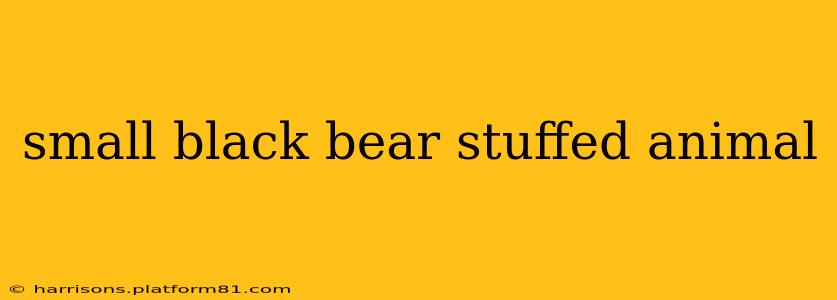 small black bear stuffed animal